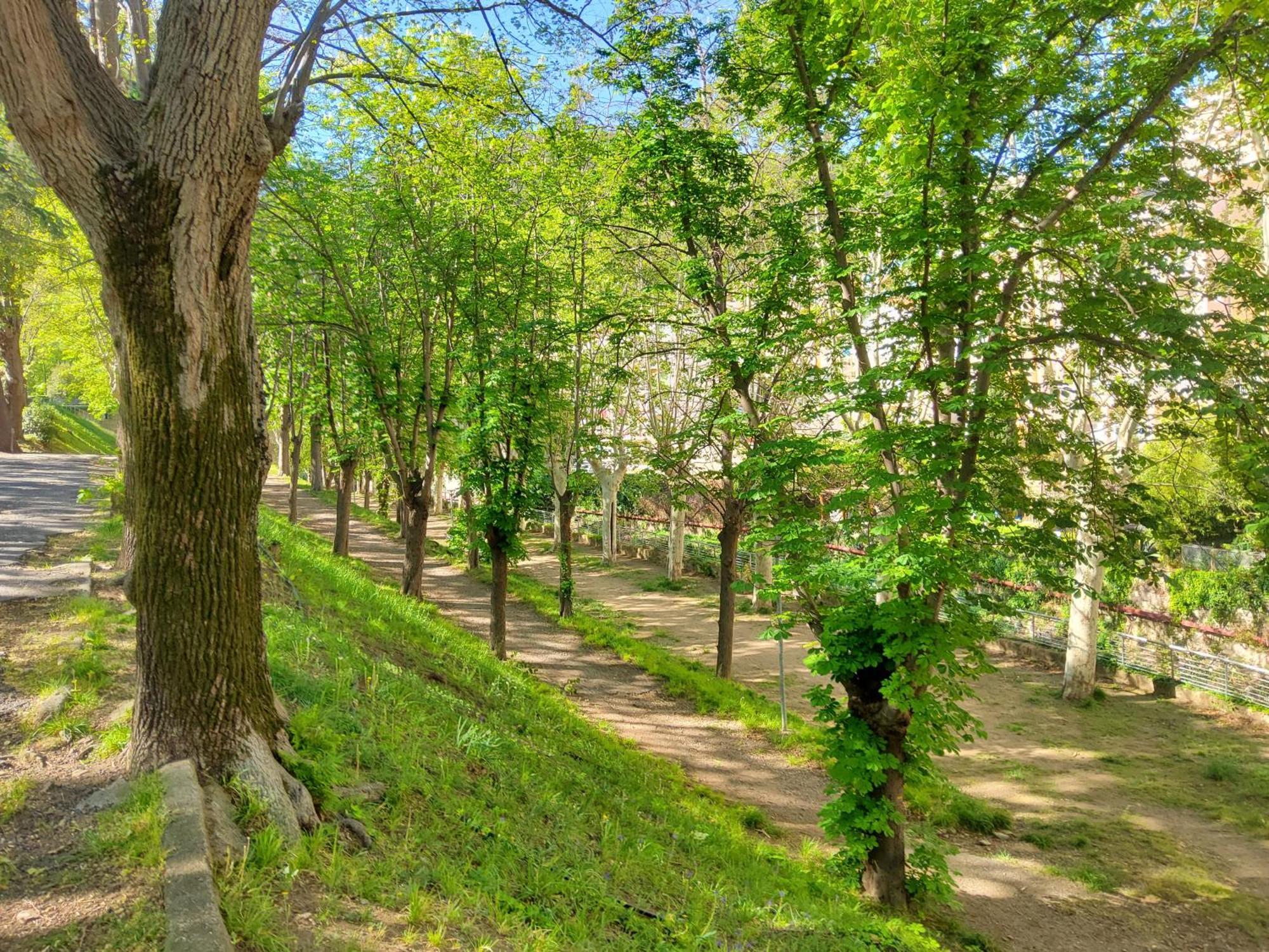 Appartement A Beholding Sight Amélie-les-Bains-Palalda Екстериор снимка